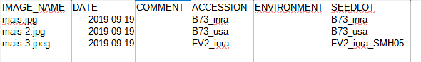 ../_images/Images-CSV.png