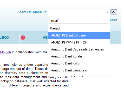 ../_images/searchbar.png