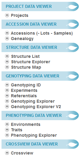 ../_images/Dataview.png